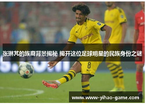 张琳芃的族裔背景揭秘 揭开这位足球明星的民族身份之谜