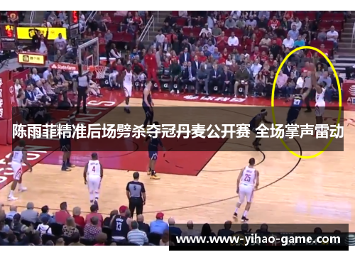 陈雨菲精准后场劈杀夺冠丹麦公开赛 全场掌声雷动